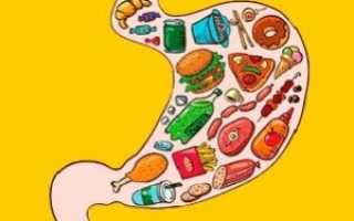 Сколько переваривается пища в желудке человека?