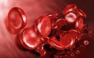 Влияние менструации на результаты анализов крови и мочи