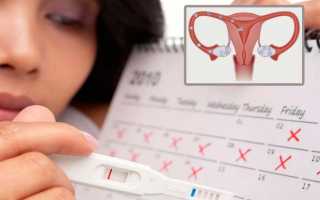 Почему бывает поздняя овуляция, и когда тест покажет беременность
