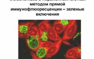 Способы заражения хламидиями