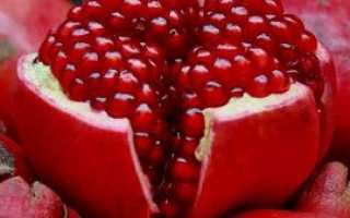 Фрукты и ягоды при гастрите