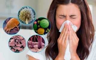 Аллергический ринит: симптомы и лечение сезонного и круглогодичного насморка
