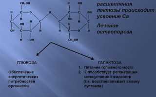 Что такое псевдоаллергия, как она проявляется у детей и взрослых, лечение