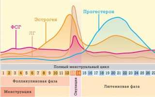 Почему удлинился цикл месячных: причины сбоя